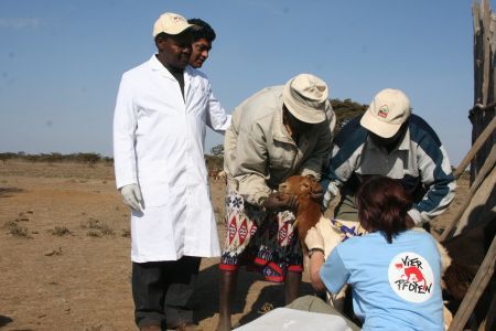 Tragedie aviatică în Africa
