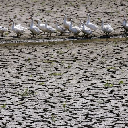 În viitor: mai multă apă şi mai puţine zăpezi