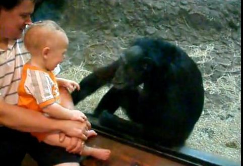 Piaţă de peşte de 1,3 milioane de euro în Capitală