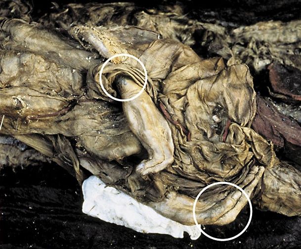 Unul dintre cele mai vechi tatuaje din lume. Îl are o prinţesă conservată în solul îngheţat din Siberia