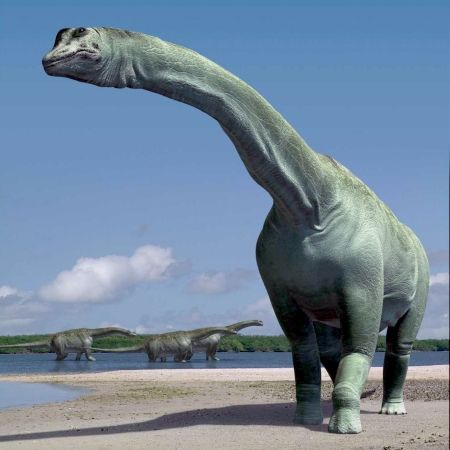 Am putea intra ÎN ISTORIE! O bucată din meteoritul care a dus la dispariţia dinozaurilor, descoperită în România