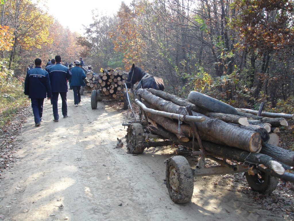 Doi puşti au fost reţinuţi pentru tentativă de omor