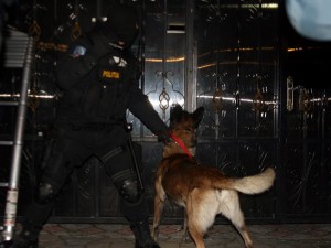 EVAZIUNE RECORD. Facturi fictive de 50 DE MILIOANE DE EURO. Peste 300 de firme implicate