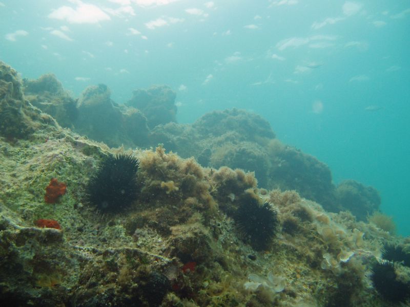 O altfel de Atlantida există. Acolo unde nimeni nu s-ar fi aşteptat | VIDEO