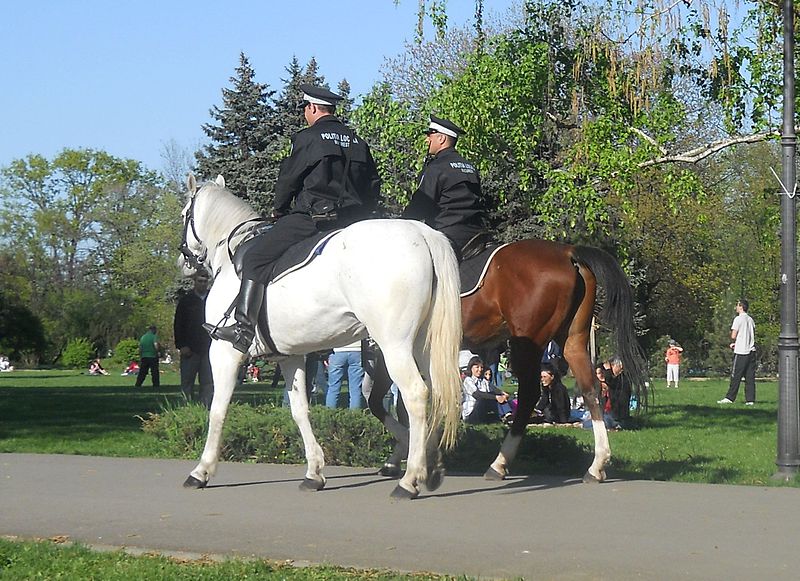 Poliţiştii călare se întorc. Nu mai dau dau amenzi ilegale, dar pot prinde infractori