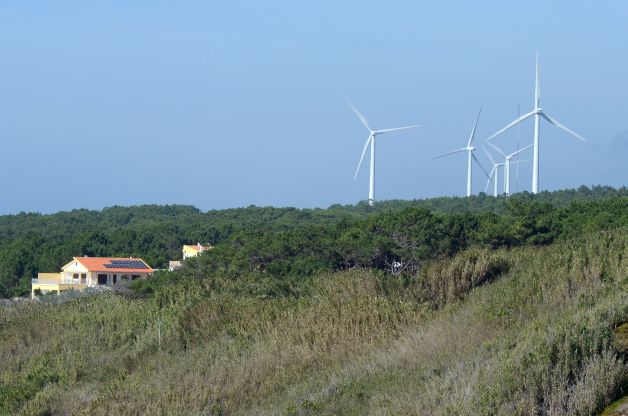 SINGURUL Master "verde" din România. VEZI unde se şcolesc tinerii pasionaţi de ENERGIE ALTERNATIVĂ