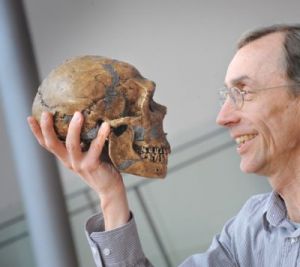 ŞTIINŢA a decis: VOM avea CREIERUL unui NEANDERTHAL