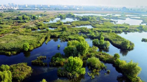 Una dintre cele mai vânate zone ale Capitalei va deveni arie naturală protejată