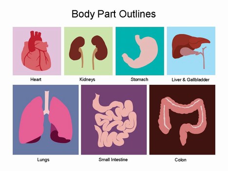 Cinci părţi ANATOMICE complet INUTILE