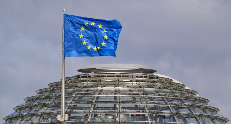 Dezbatere în Bundestag: interzicerea zoofiliei pentru protec?ia animalelor