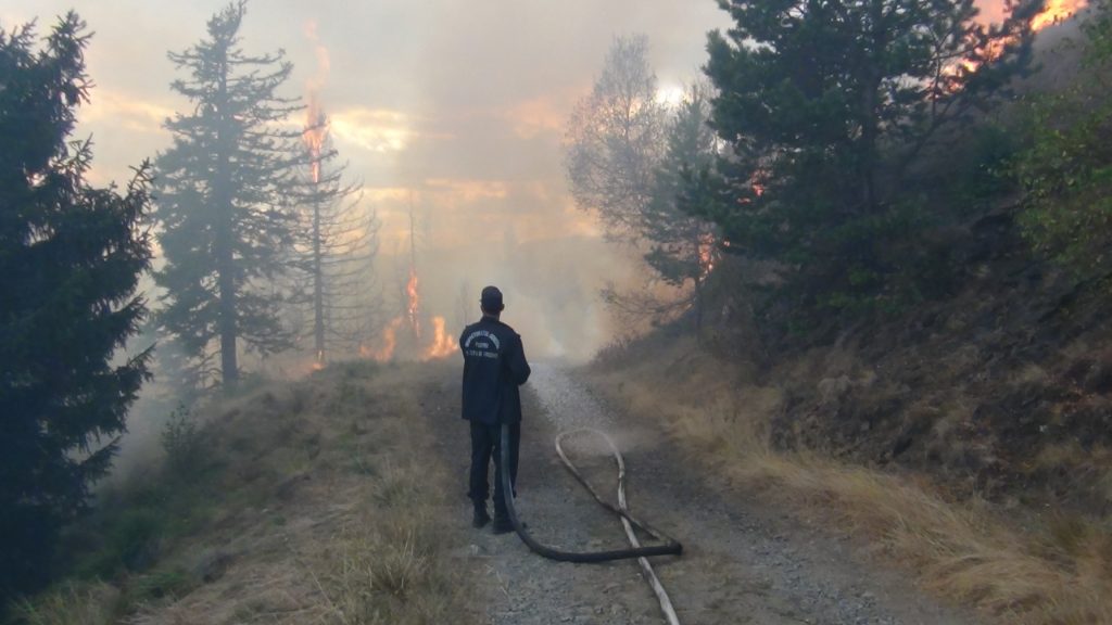 Incendiu în Rezervaţia Biosferei Delta Dunării