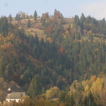 Jude?ul Arge?, lider în topul defri??rilor ilegale. Poli?i?tii fac perchezi?ii