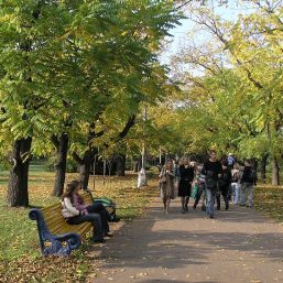METODA SIMPLĂ prin care îţi poţi prelungi viaţa cu şapte ani