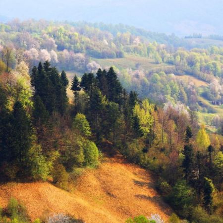 NEWS ALERT. Referendumul pentru mineritul din Apuseni ?i exploatarea de la Ro?ia Montan? va avea loc pe 9 decembrie