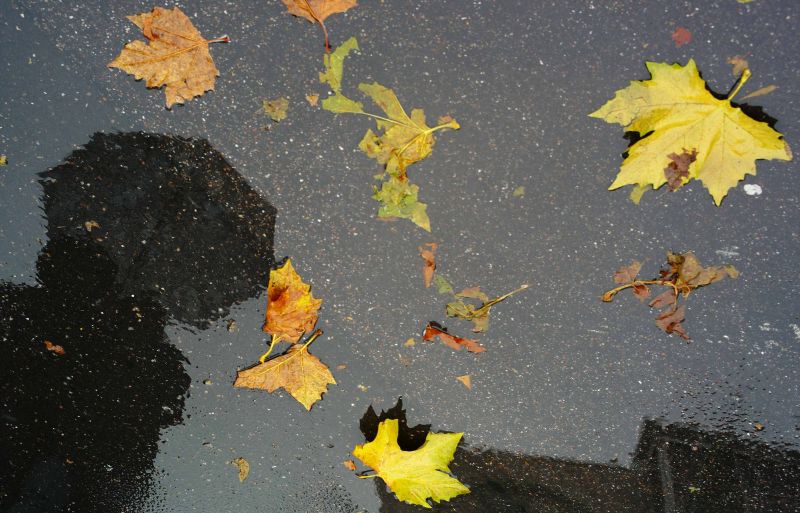 PROGNOZA METEO. Cum ne îmbr?c?m în zilele urm?toare. Vine sau nu IARNA?