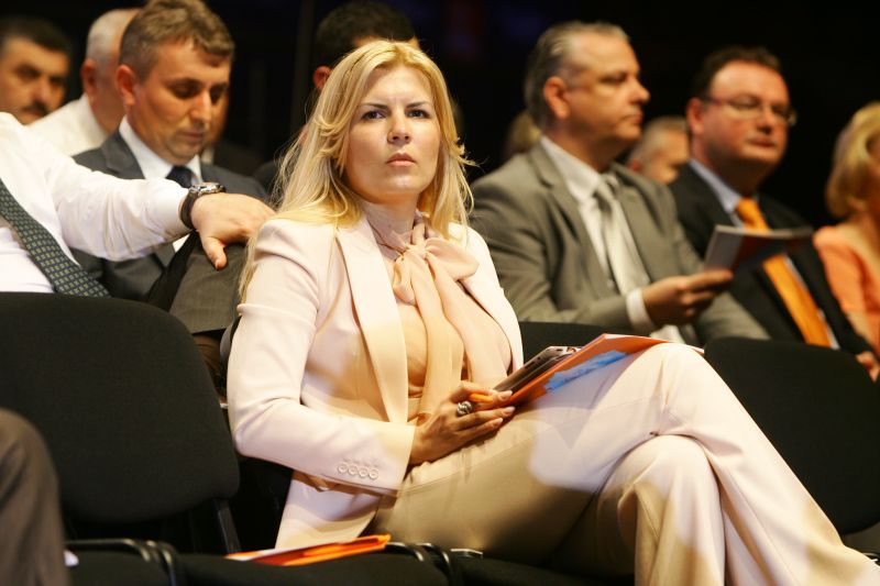 Udrea, despre reţinerea deputatului PDL: Mereu vor fi persoane care folosesc numele unor miniştri pentru a obţine foloase personale