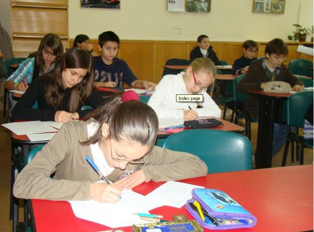 Centrele de excelen??, pe cale de dispari?ie