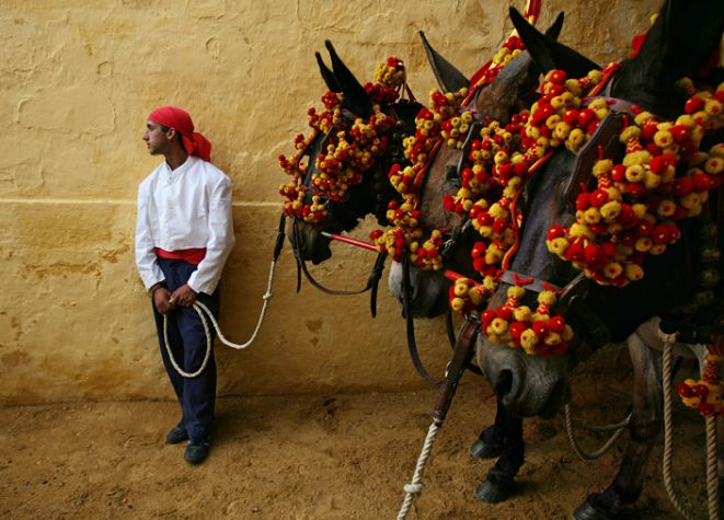LUMEA, prin ochii fotografilor National Geographic | IMAGINI SPECTACULOASE