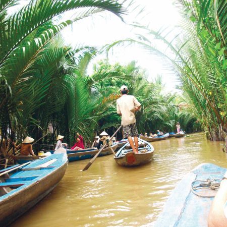 Noi specii denumite „extra-terestre” au fost descoperite în regiunea Marelui Mekong