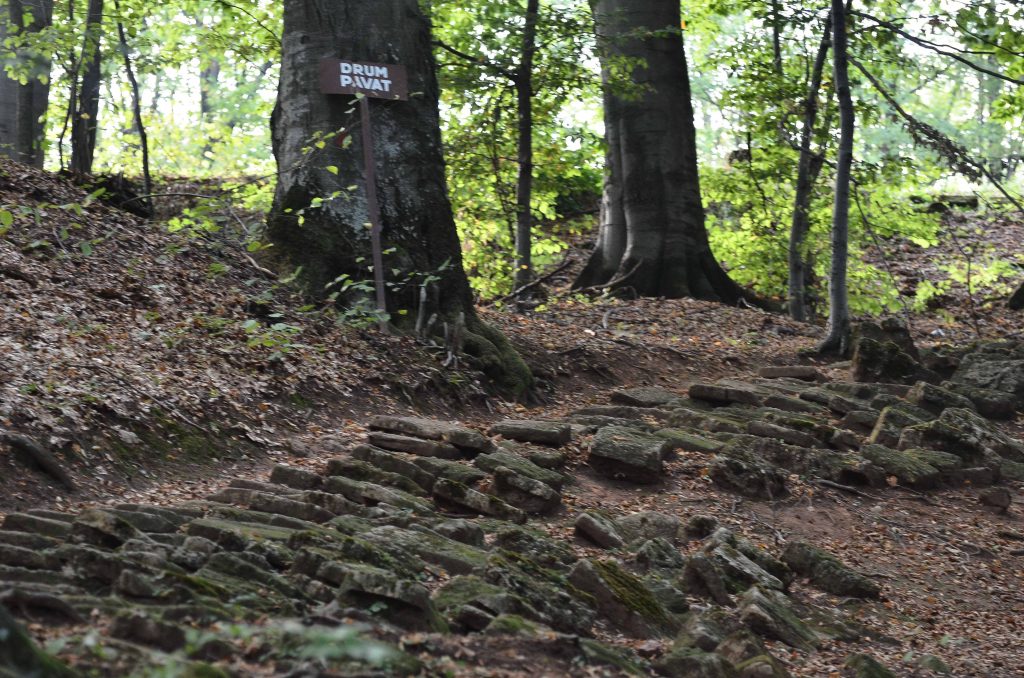 P?durea Trivale va fi desemnat? rezerva?ie natural?