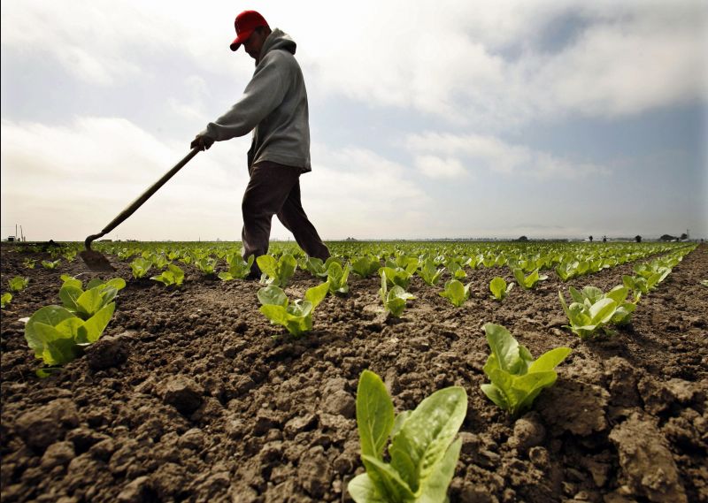 CÂT TEREN AGRICOL deţin STRĂINII în România. MIZA liberalizării acestei pieţe
