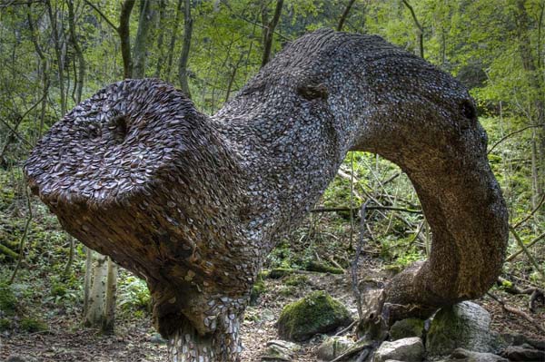 COPACII în care CRESC BANI. Comoara din PĂDURILE scoţiene ce îndeplineşte dorinţele SECRETE | GALERIE FOTO