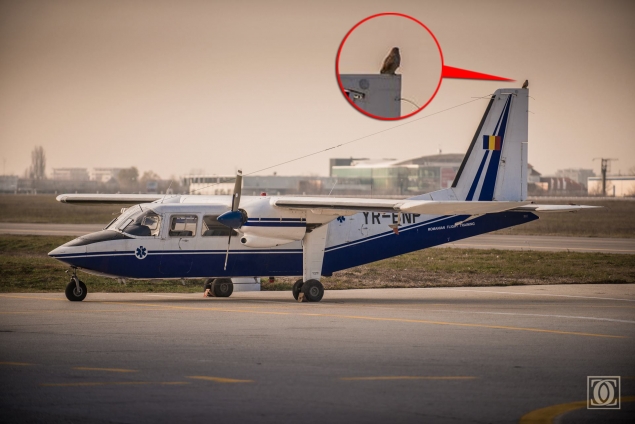 CUTREMURĂTOR: Tragedia aviatică care a dus la moartea pilotului Adrian Iovan şi a studentei Aura Ion a fost prevestită de o CUCUVEA