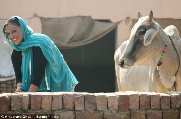 De la PETRECERI în CALIFORNIA la ÎNGRIJIT VACA în India. Cum şi-a schimbat viaţa o americancă | GALERIE FOTO / VIDEO