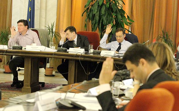 Erorile din noua Constituţie vor fi corectate