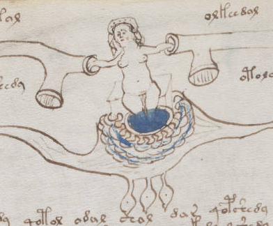 Nimfe GOALE, rozete enigmatice. Ce SECRETE ascunde acest manuscris / VIDEO
