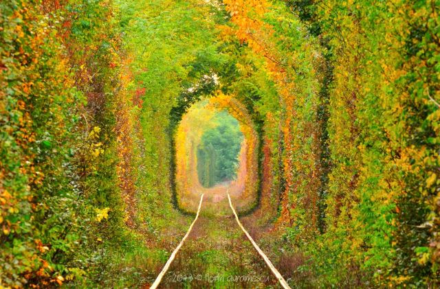 Acest LOC IREAL DE FRUMOS este în România. Unde se află "TUNELUL IUBIRII" | GALERIE FOTO