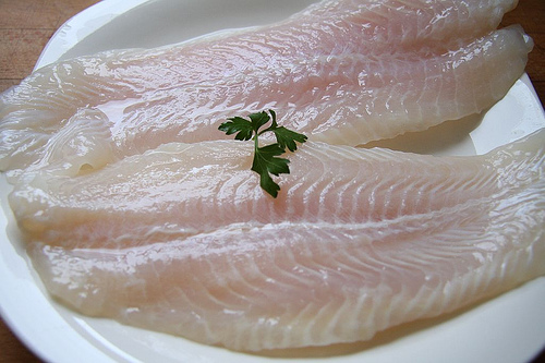 DESCOPERIRE ULUITOARE A CERCETĂTORILOR! Fileul de pangasius este foarte toxic - VIDEO