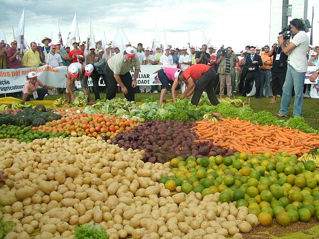 EVZ CHIŞINĂU. Agricultura, locomotiva comerţului în 2013
