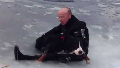 NORVEGIANUL devenit erou pe net: Cum a SALVAT un CĂŢEL care a căzut într-un lac ÎNGHEŢAT / VIDEO