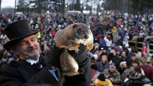 PREDICŢIA MARMOTEI Phil: Va mai fi IARNĂ încă şase săptămâni, în America | FOTO / VIDEO