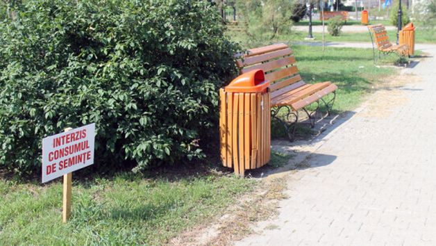 Un obicei URÂT? De ce TREBUIE să mănânci SEMINŢE