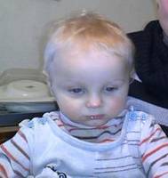 Copil dispărut din curtea casei: răpit sau luat de lup?