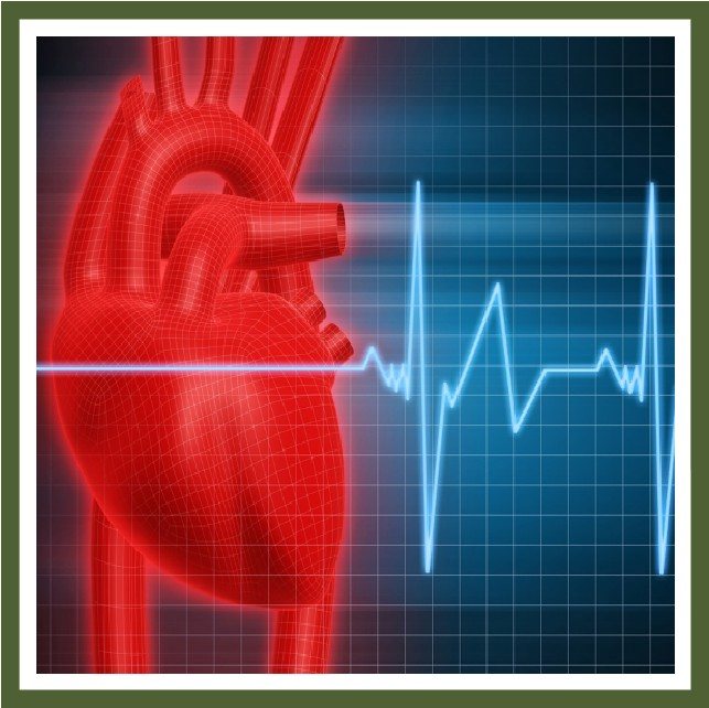 Nu grăsimea, alt ingredient îți distruge inima