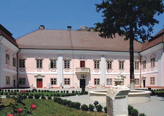 Oseminte umane au fost descoperite în curtea Muzeului Civilizației Dacice și Romane