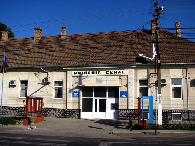 PERCHEZIȚII la o PRIMĂRIE din vestul țării. Se fac cercetări pentru o împădurire fără copaci
