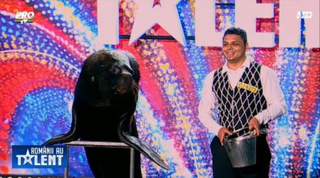 ROMÂNII AU TALENT. Iată ce animal simpatic a luat trei de ”DA”