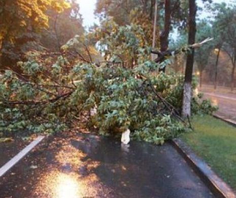 ACCIDENT GRAV în noapte de Înviere. Un copac a căzut peste un adolescent în Capitală