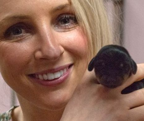 Mini Winnie, câinele clonat care s-a născut prin cezariană! Află povestea lui si vezi cum arata originalul
