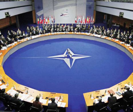 NATO dezminte că intenționează să mobilizeze trupe în estul Ucrainei, la granița cu Rusia