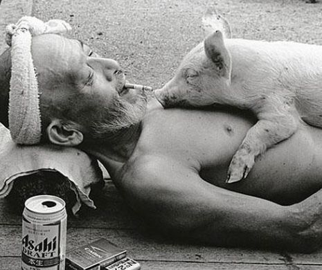 Prietenia uimitoare dintre un fermier şi PORCII săi| GALERIE FOTO