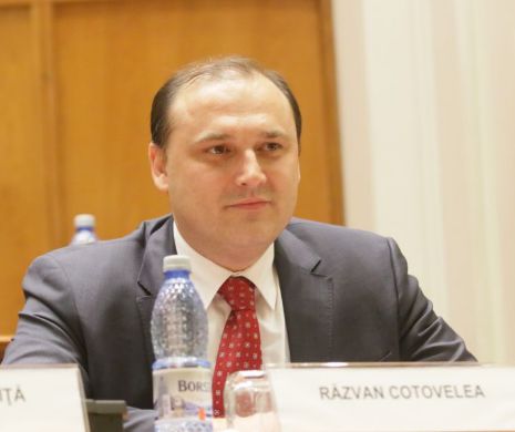 Ro-NET, proiectul prin care Guvernul va introduce internet broadband pe tot teritoriul României