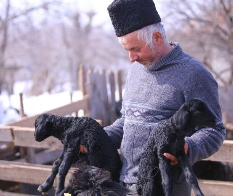 Se întoarce foaia! Armele cu care românii vor să-i cucerească pe urmașii sultanilor