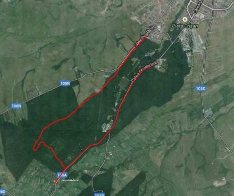 Sibienii își fac piste de biciclete prin pădurea de lângă oraș