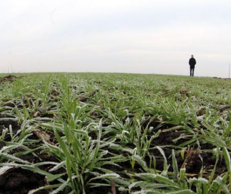 Vinovații din afacerea cu terenurile de la Nana și Fundulea. Jaful de 2.000 de hectare din Călărași