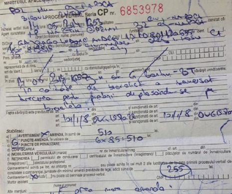 A primit AMENDĂ RECORD pentru că a traversat pe bicicletă o trecere de pietoni